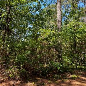 Photo #3 of Lot 19 FOLLY CREEK CLUB LN, ACCOMAC, VA 0.5 acres