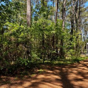 Photo #4 of Lot 19 FOLLY CREEK CLUB LN, ACCOMAC, VA 0.5 acres