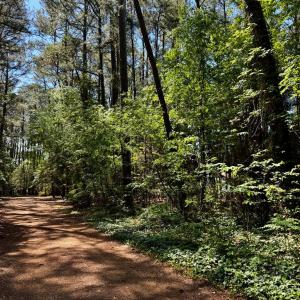 Photo #5 of Lot 19 FOLLY CREEK CLUB LN, ACCOMAC, VA 0.5 acres