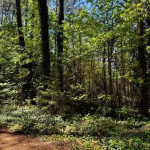 Photo #6 of Lot 19 FOLLY CREEK CLUB LN, ACCOMAC, VA 0.5 acres