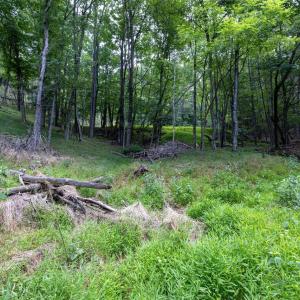 Photo #60 of 22590 CRIDERS RD, CRIDERS, VA 212.4 acres