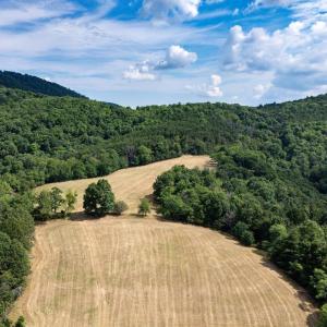 Photo #32 of 22590 CRIDERS RD, CRIDERS, VA 212.4 acres