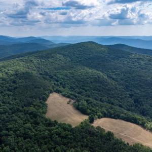 Photo #22 of 22590 CRIDERS RD, CRIDERS, VA 212.4 acres