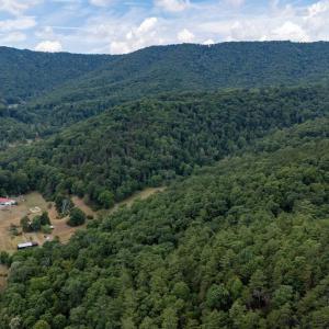 Photo #8 of 22590 CRIDERS RD, CRIDERS, VA 212.4 acres