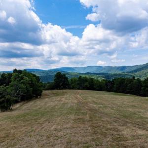 Photo #39 of 22590 CRIDERS RD, CRIDERS, VA 212.4 acres