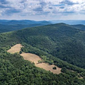 Photo #23 of 22590 CRIDERS RD, CRIDERS, VA 212.4 acres