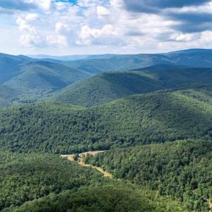 Photo #14 of 22590 CRIDERS RD, CRIDERS, VA 212.4 acres