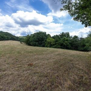 Photo #48 of 22590 CRIDERS RD, CRIDERS, VA 212.4 acres