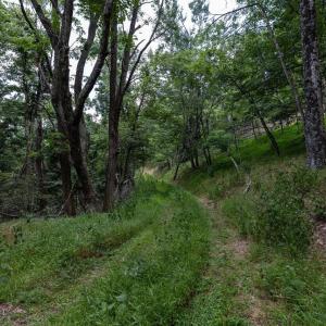 Photo #59 of 22590 CRIDERS RD, CRIDERS, VA 212.4 acres