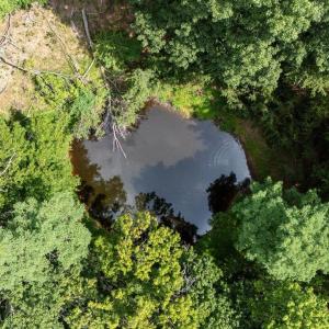 Photo #51 of 22590 CRIDERS RD, CRIDERS, VA 212.4 acres