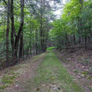 Photo #65 of 22590 CRIDERS RD, CRIDERS, VA 212.4 acres