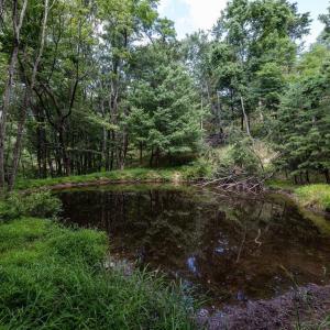 Photo #54 of 22590 CRIDERS RD, CRIDERS, VA 212.4 acres