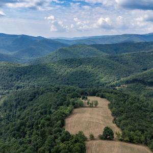 Photo #15 of 22590 CRIDERS RD, CRIDERS, VA 212.4 acres