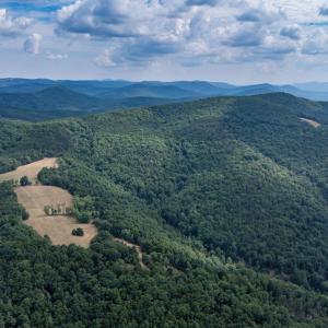 Photo #24 of 22590 CRIDERS RD, CRIDERS, VA 212.4 acres