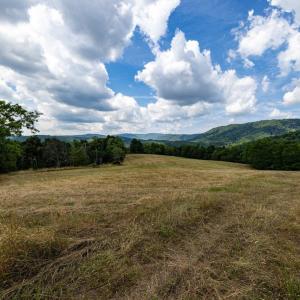 Photo #35 of 22590 CRIDERS RD, CRIDERS, VA 212.4 acres