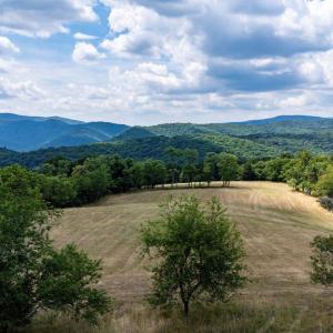 Photo #41 of 22590 CRIDERS RD, CRIDERS, VA 212.4 acres