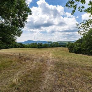 Photo #42 of 22590 CRIDERS RD, CRIDERS, VA 212.4 acres