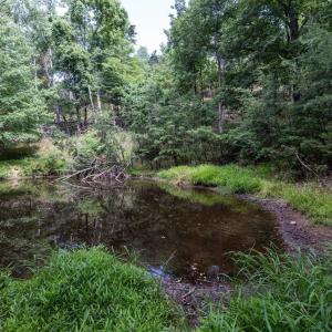 Photo #56 of 22590 CRIDERS RD, CRIDERS, VA 212.4 acres