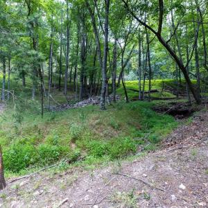 Photo #58 of 22590 CRIDERS RD, CRIDERS, VA 212.4 acres