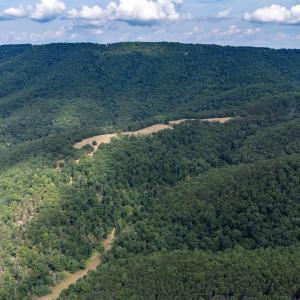 Photo #11 of 22590 CRIDERS RD, CRIDERS, VA 212.4 acres