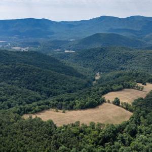 Photo #20 of 22590 CRIDERS RD, CRIDERS, VA 212.4 acres