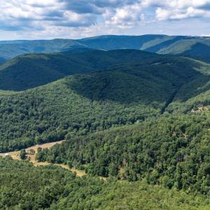 Photo #27 of 22590 CRIDERS RD, CRIDERS, VA 212.4 acres