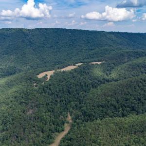 Photo #10 of 22590 CRIDERS RD, CRIDERS, VA 212.4 acres