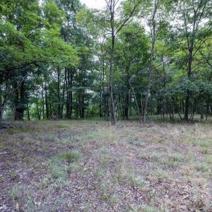 Photo #64 of 22590 CRIDERS RD, CRIDERS, VA 212.4 acres