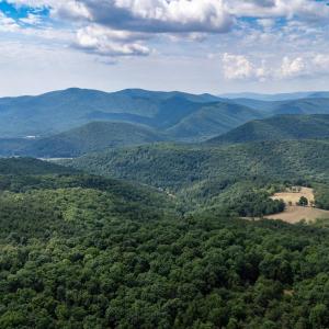 Photo #19 of 22590 CRIDERS RD, CRIDERS, VA 212.4 acres