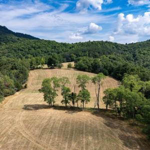 Photo #33 of 22590 CRIDERS RD, CRIDERS, VA 212.4 acres