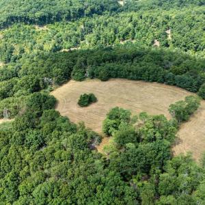 Photo #30 of 22590 CRIDERS RD, CRIDERS, VA 212.4 acres