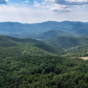 Photo #18 of 22590 CRIDERS RD, CRIDERS, VA 212.4 acres