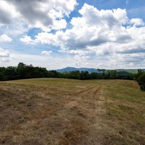 Photo #45 of 22590 CRIDERS RD, CRIDERS, VA 212.4 acres