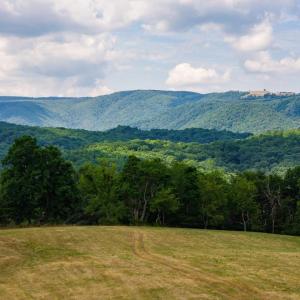 Photo #38 of 22590 CRIDERS RD, CRIDERS, VA 212.4 acres