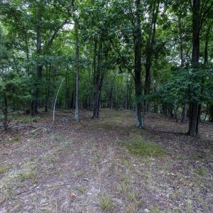 Photo #63 of 22590 CRIDERS RD, CRIDERS, VA 212.4 acres