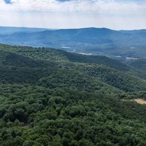 Photo #26 of 22590 CRIDERS RD, CRIDERS, VA 212.4 acres