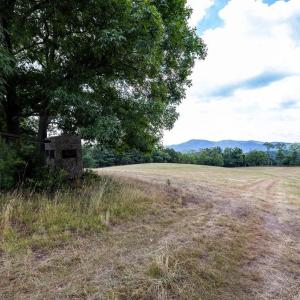 Photo #43 of 22590 CRIDERS RD, CRIDERS, VA 212.4 acres