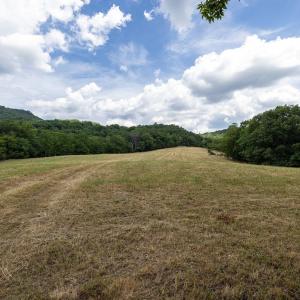 Photo #46 of 22590 CRIDERS RD, CRIDERS, VA 212.4 acres