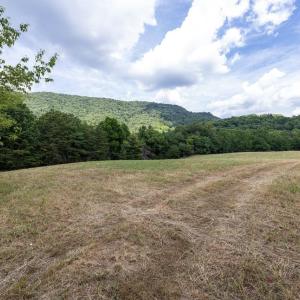 Photo #47 of 22590 CRIDERS RD, CRIDERS, VA 212.4 acres
