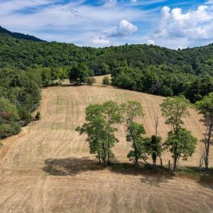 Photo #34 of 22590 CRIDERS RD, CRIDERS, VA 212.4 acres