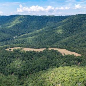 Photo #12 of 22590 CRIDERS RD, CRIDERS, VA 212.4 acres