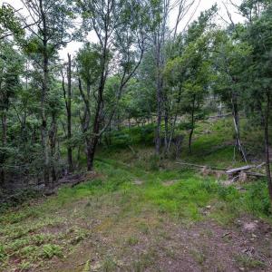 Photo #57 of 22590 CRIDERS RD, CRIDERS, VA 212.4 acres