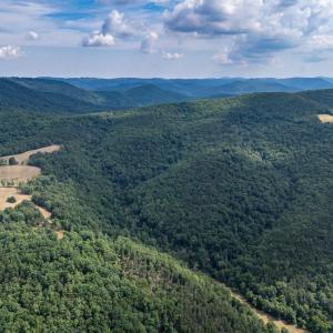 Photo #71 of 22590 CRIDERS RD, CRIDERS, VA 212.4 acres