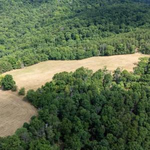 Photo #31 of 22590 CRIDERS RD, CRIDERS, VA 212.4 acres