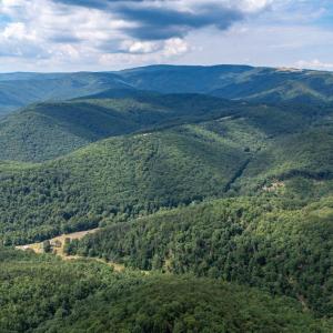 Photo #13 of 22590 CRIDERS RD, CRIDERS, VA 212.4 acres