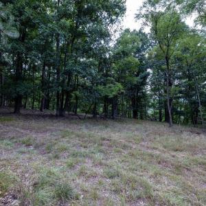 Photo #62 of 22590 CRIDERS RD, CRIDERS, VA 212.4 acres