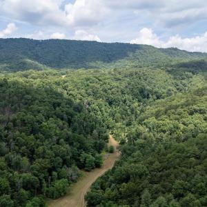 Photo #7 of 22590 CRIDERS RD, CRIDERS, VA 212.4 acres