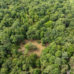 Photo #49 of 22590 CRIDERS RD, CRIDERS, VA 212.4 acres