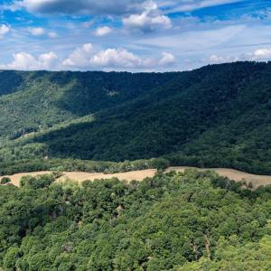 Photo #29 of 22590 CRIDERS RD, CRIDERS, VA 212.4 acres