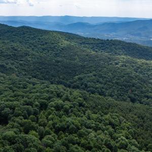 Photo #25 of 22590 CRIDERS RD, CRIDERS, VA 212.4 acres